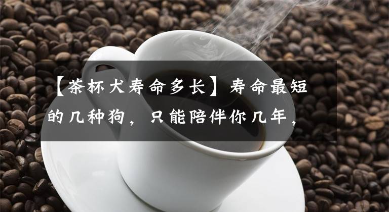 【茶杯犬寿命多长】寿命最短的几种狗，只能陪伴你几年，养了要珍惜