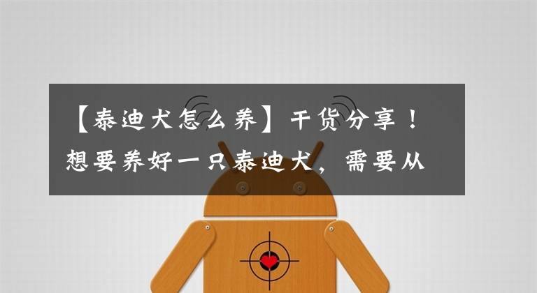 【泰迪犬怎么养】干货分享!想要养好一只泰迪犬,需要从这些方面入手!