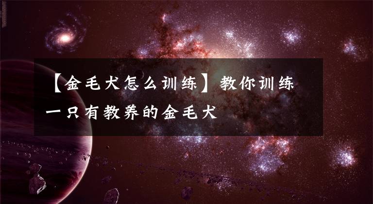 【金毛犬怎么训练】教你训练一只有教养的金毛犬