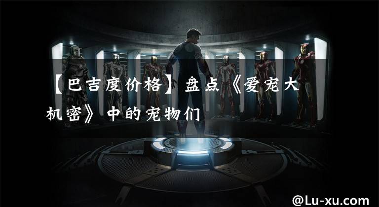 【巴吉度价格】盘点《爱宠大机密》中的宠物们