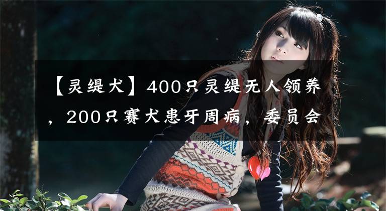 【灵缇犬】400只灵缇无人领养，200只赛犬患牙周病，委员会拒绝治疗想坑饲主