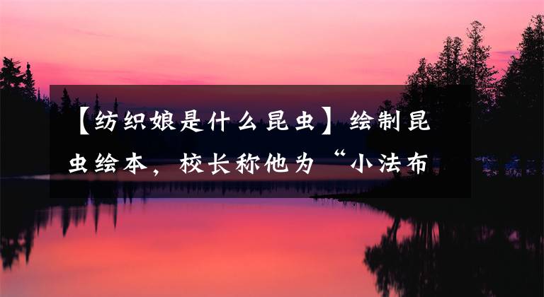 【纺织娘是什么昆虫】绘制昆虫绘本,校长称他为“小法布尔”,背后的故事令人感动——