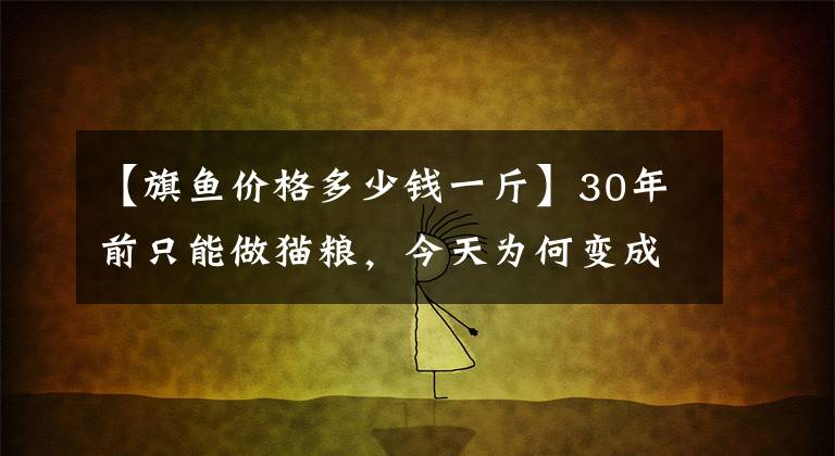 【旗鱼价格多少钱一斤】30年前只能做猫粮，今天为何变成奢侈品？蓝鳍金枪鱼为何如此贵