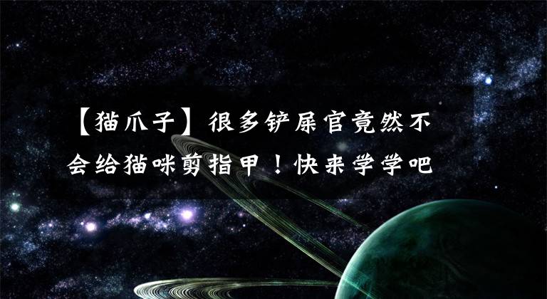 【猫爪子】很多铲屎官竟然不会给猫咪剪指甲!快来学学吧