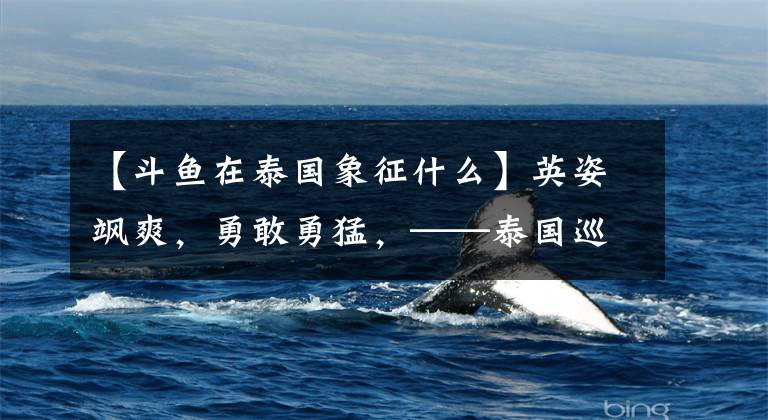 【斗鱼在泰国象征什么】英姿飒爽，勇敢勇猛，——泰国巡演