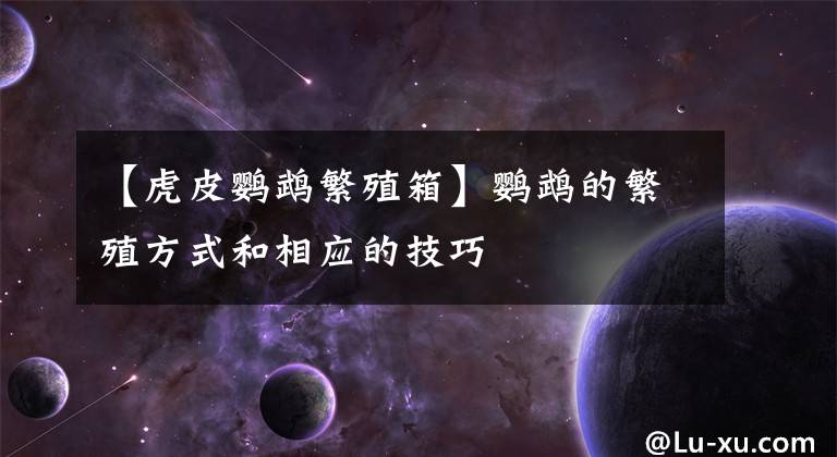 【虎皮鹦鹉繁殖箱】鹦鹉的繁殖方式和相应的技巧