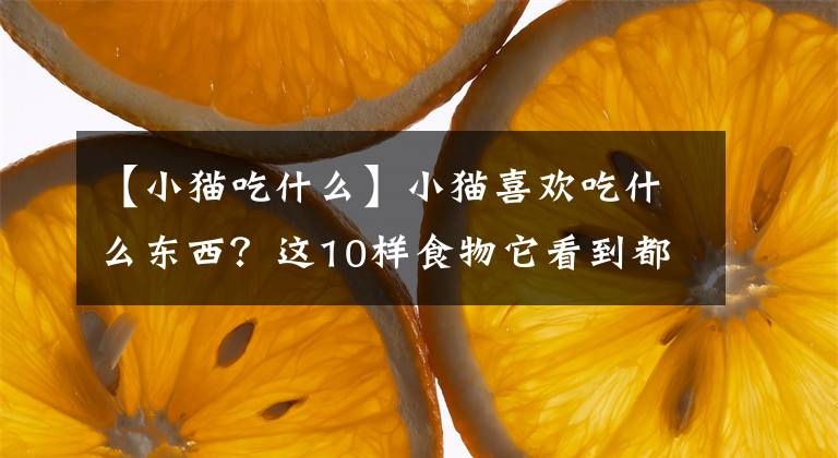 【小猫吃什么】小猫喜欢吃什么东西？这10样食物它看到都会“流口水”