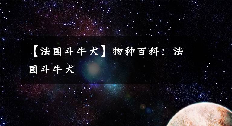 【法国斗牛犬】物种百科：法国斗牛犬