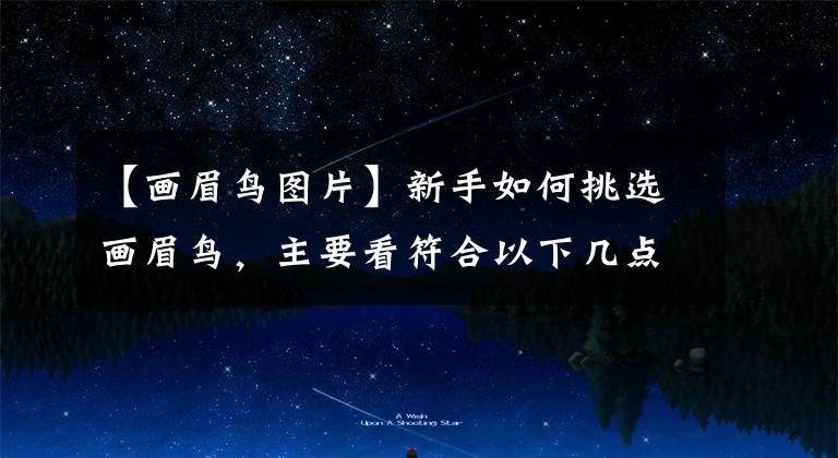 【画眉鸟图片】新手如何挑选画眉鸟，主要看符合以下几点