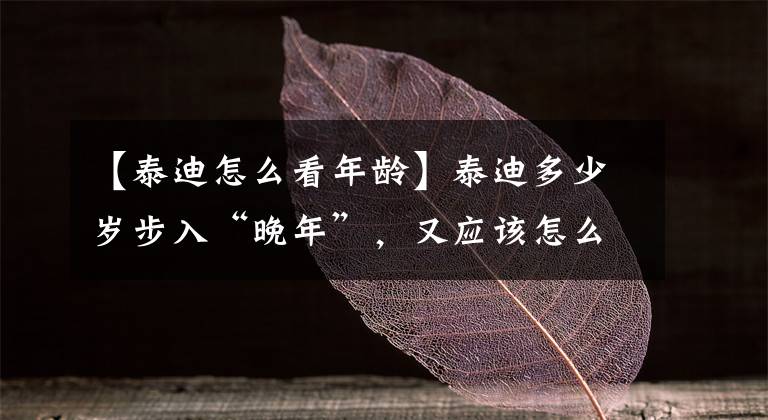 【泰迪怎么看年龄】泰迪多少岁步入“晚年”，又应该怎么照顾呢？