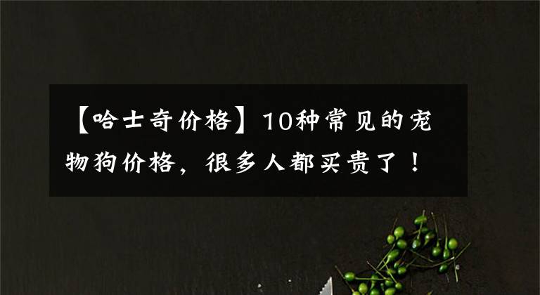 【哈士奇价格】10种常见的宠物狗价格，很多人都买贵了！