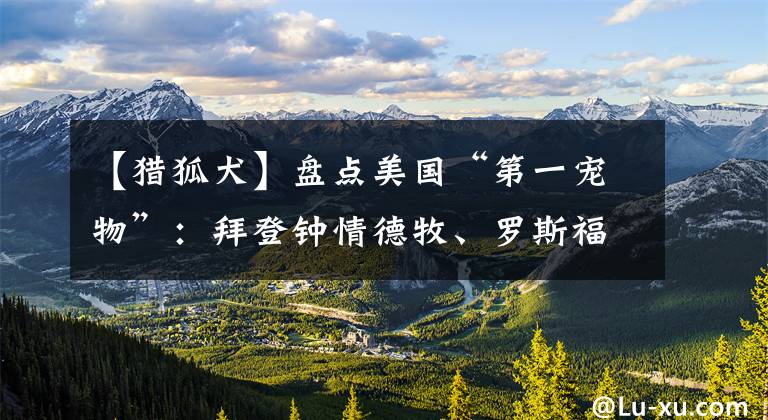 【猎狐犬】盘点美国“第一宠物”：拜登钟情德牧、罗斯福曾派军舰救狗