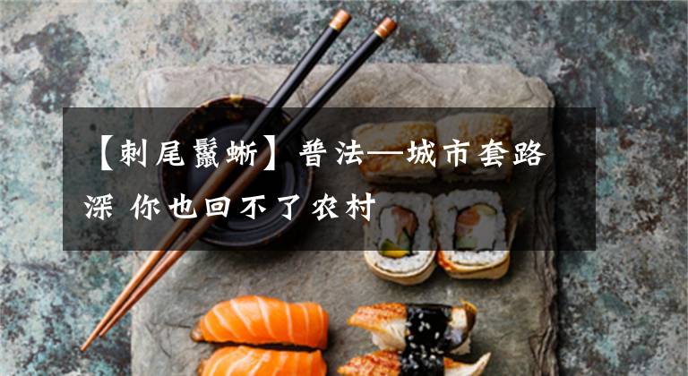 【刺尾鬣蜥】普法—城市套路深 你也回不了农村