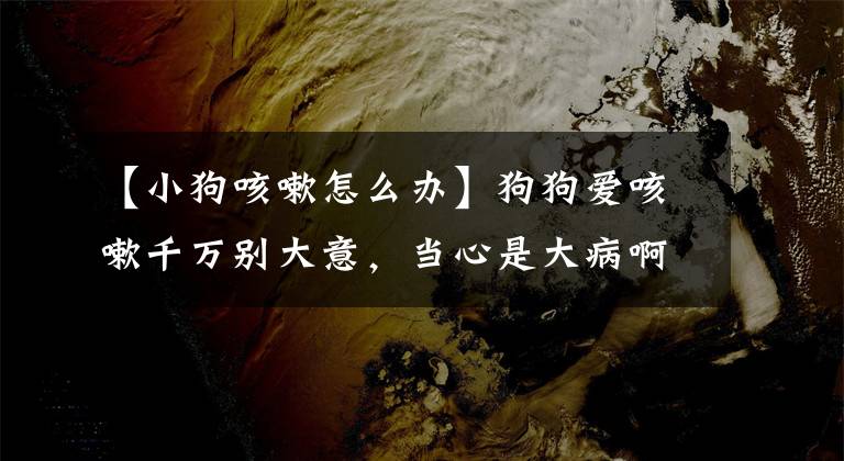【小狗咳嗽怎么办】狗狗爱咳嗽千万别大意，当心是大病啊！