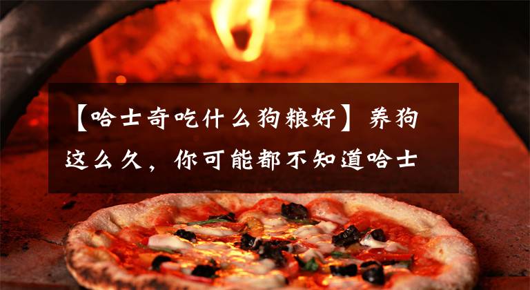 【哈士奇吃什么狗粮好】养狗这么久,你可能都不知道哈士奇和二哈的区别