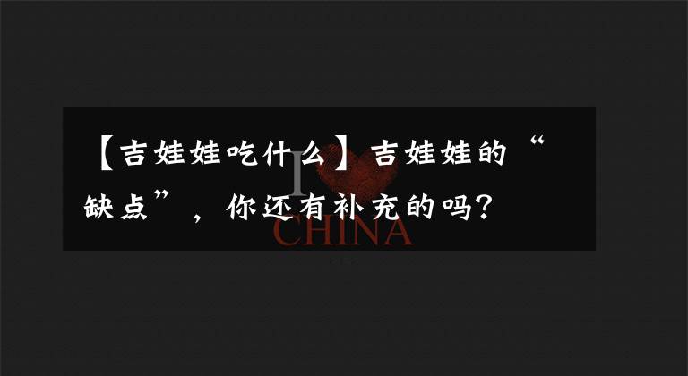 【吉娃娃吃什么】吉娃娃的“缺点”,你还有补充的吗?
