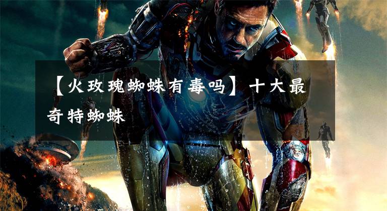 【火玫瑰蜘蛛有毒吗】十大最奇特蜘蛛