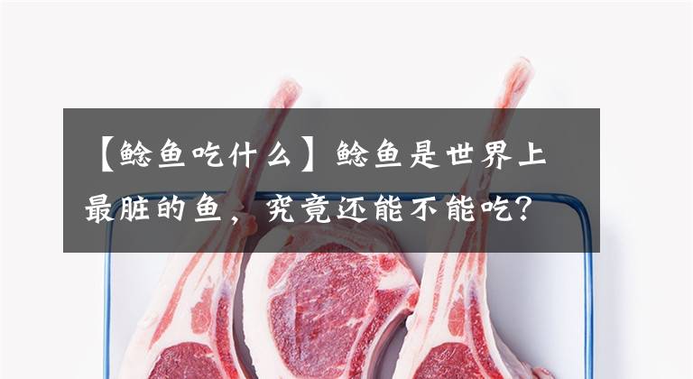 【鲶鱼吃什么】鲶鱼是世界上最脏的鱼,究竟还能不能吃?营养师告诉你正确吃法