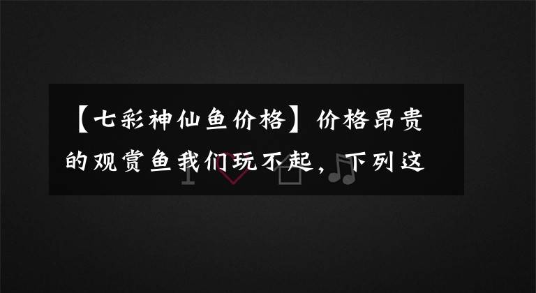 【七彩神仙鱼价格】价格昂贵的观赏鱼我们玩不起,下列这些鱼,看似便宜其实也很贵