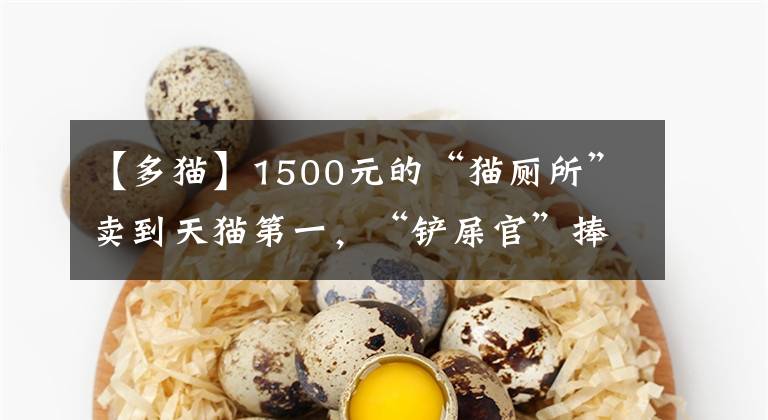 【多猫】1500元的“猫厕所”卖到天猫第一，“铲屎官”捧出一个破亿新品牌？