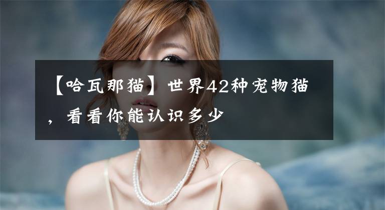 【哈瓦那猫】世界42种宠物猫，看看你能认识多少