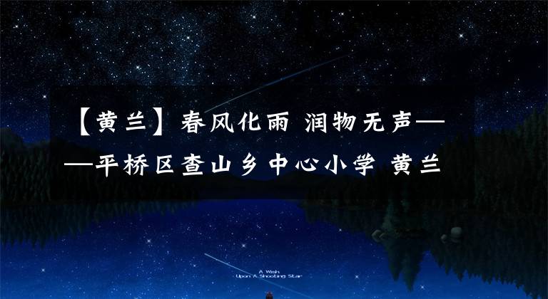 【黄兰】春风化雨 润物无声——平桥区查山乡中心小学 黄兰