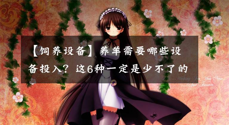 【饲养设备】养羊需要哪些设备投入？这6种一定是少不了的！新人来看