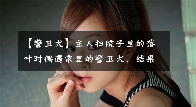 【警卫犬】主人扫院子里的落叶时偶遇家里的警卫犬，结果…