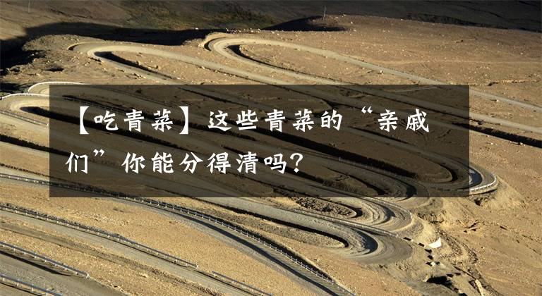 【吃青菜】这些青菜的“亲戚们”你能分得清吗？