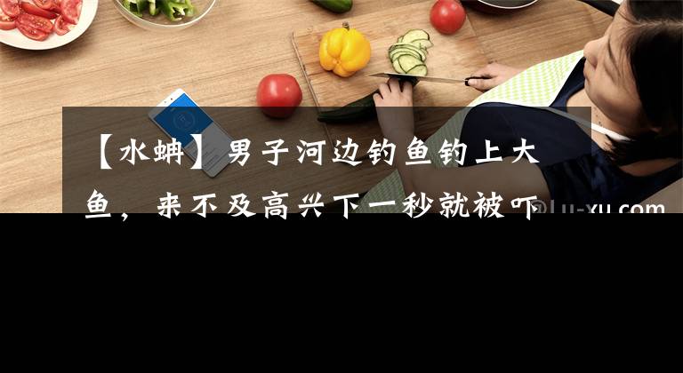 【水蚺】男子河边钓鱼钓上大鱼，来不及高兴下一秒就被吓得拔腿就跑