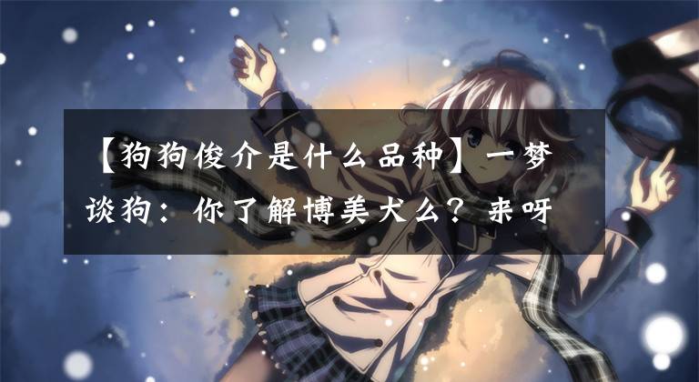 【狗狗俊介是什么品种】一梦谈狗：你了解博美犬么？来呀，养一只互相伤害啊