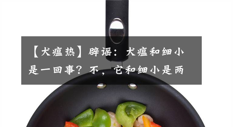 【犬瘟热】辟谣：犬瘟和细小是一回事？不，它和细小是两码事，症状也不一样