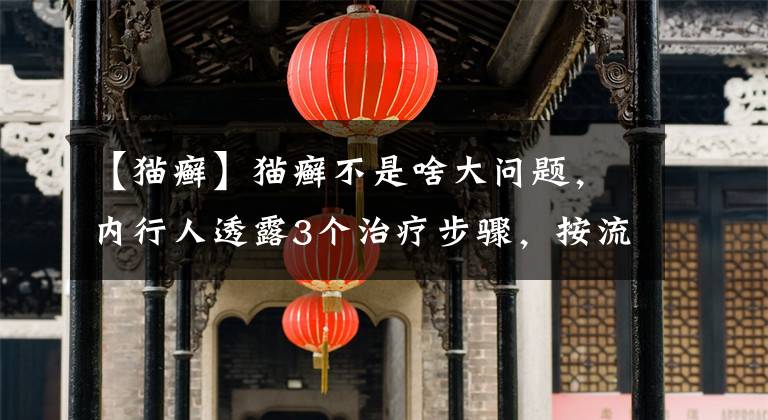 【猫癣】猫癣不是啥大问题，内行人透露3个治疗步骤，按流程来轻松搞定