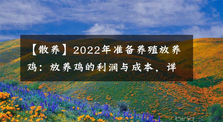 【散养】2022年准备养殖放养鸡：放养鸡的利润与成本，详细核算分析