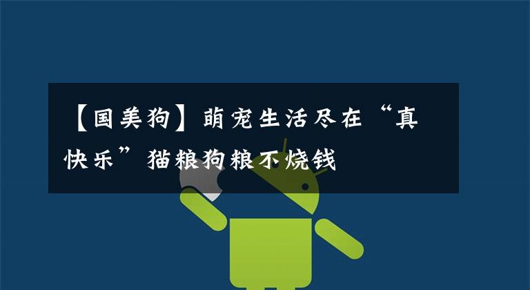 【国美狗】萌宠生活尽在“真快乐”猫粮狗粮不烧钱