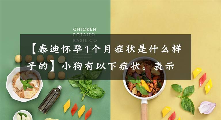 【泰迪怀孕1个月症状是什么样子的】小狗有以下症状。表示怀孕了。请尽快注意