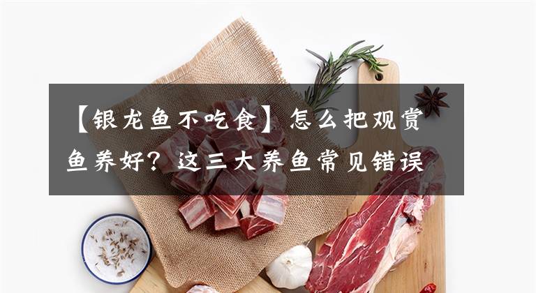 【银龙鱼不吃食】怎么把观赏鱼养好？这三大养鱼常见错误，改正过来吧