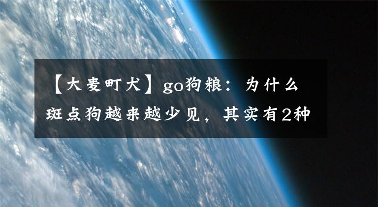 【大麦町犬】go狗粮：为什么斑点狗越来越少见，其实有2种原因