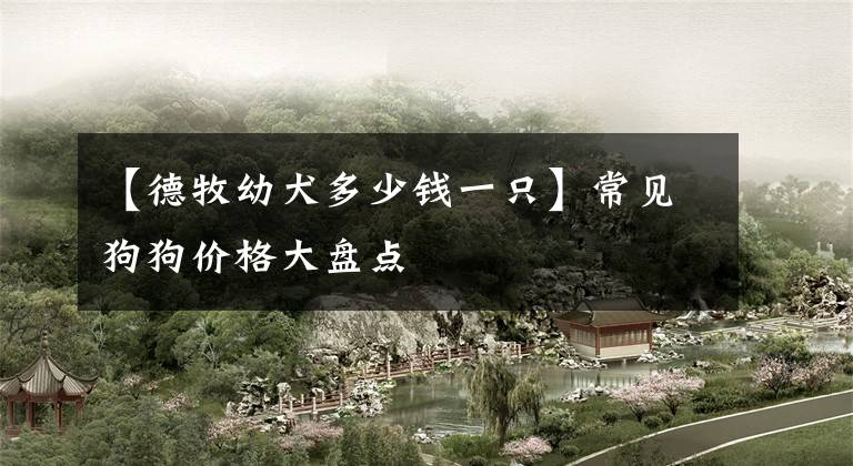 【德牧幼犬多少钱一只】常见狗狗价格大盘点