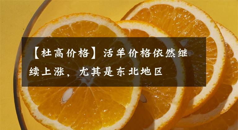 【杜高价格】活羊价格依然继续上涨,尤其是东北地区