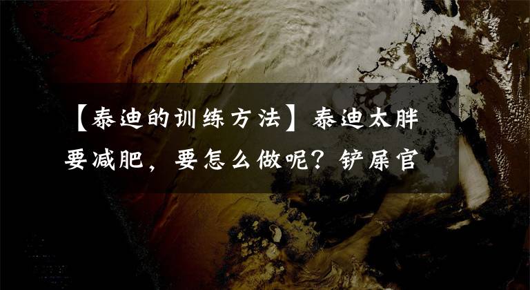 【泰迪的训练方法】泰迪太胖要减肥,要怎么做呢?铲屎官们快来学