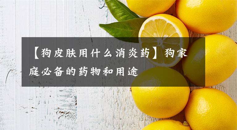 【狗皮肤用什么消炎药】狗家庭必备的药物和用途
