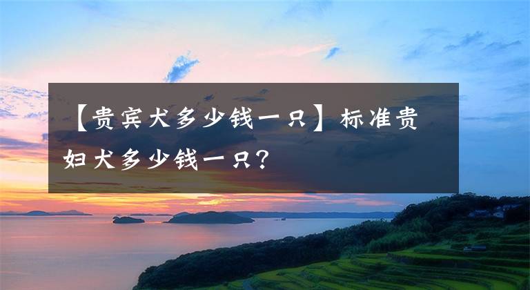 【贵宾犬多少钱一只】标准贵妇犬多少钱一只？