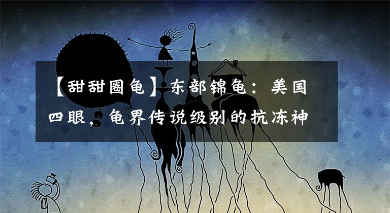 【甜甜圈龟】东部锦龟：美国四眼，龟界传说级别的抗冻神仙