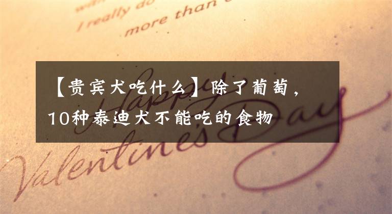 【贵宾犬吃什么】除了葡萄，10种泰迪犬不能吃的食物