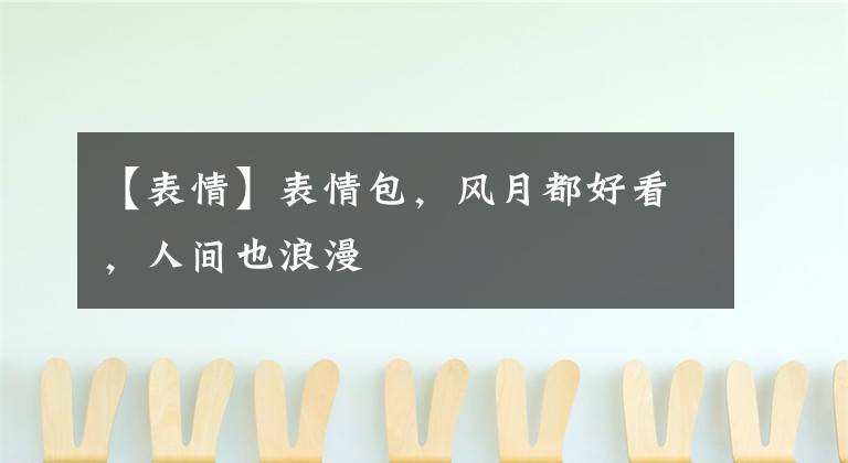 【表情】表情包,风月都好看,人间也浪漫