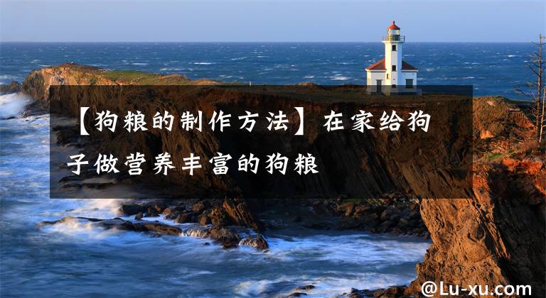 【狗粮的制作方法】在家给狗子做营养丰富的狗粮