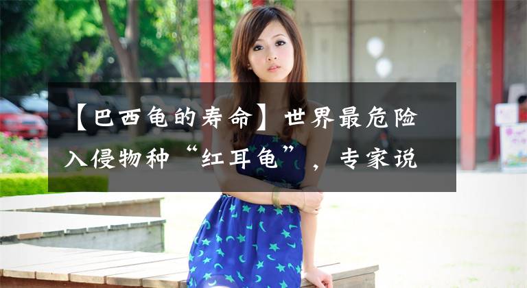 【巴西龟的寿命】世界最危险入侵物种“红耳龟”，专家说放生就是杀生！