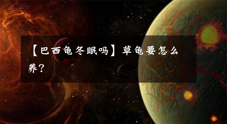 【巴西龟冬眠吗】草龟要怎么养？