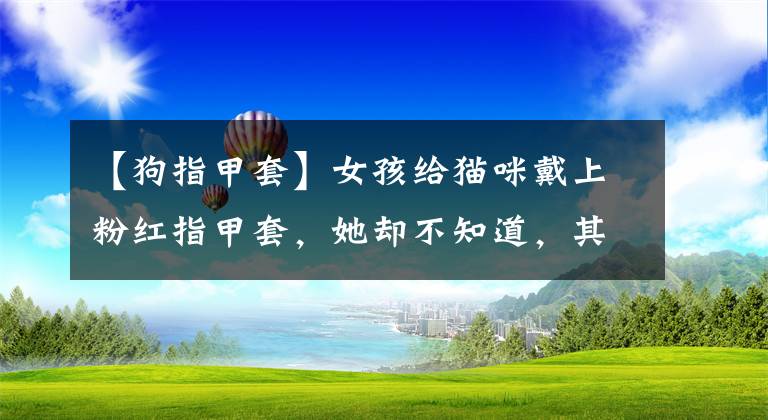 【狗指甲套】女孩给猫咪戴上粉红指甲套，她却不知道，其中的伤害有多大